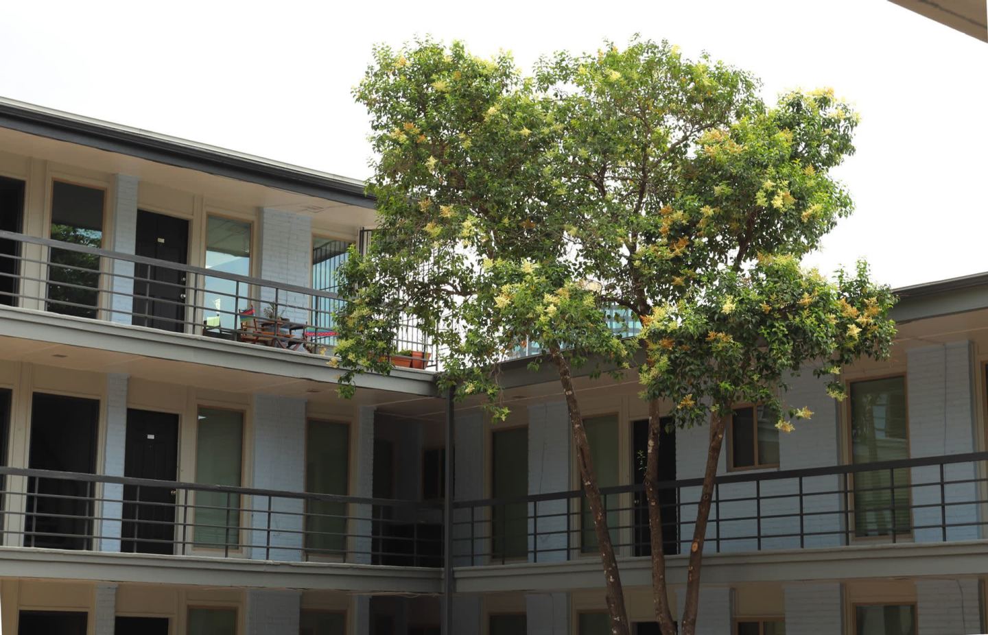 Penthouse Image 12