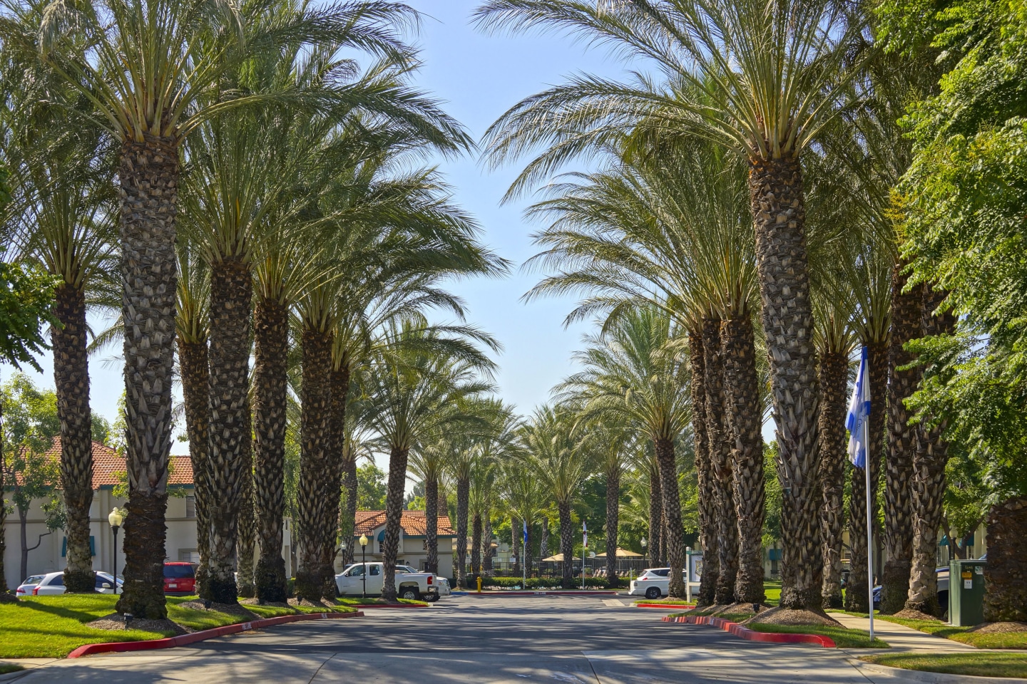 Montecito Image 20