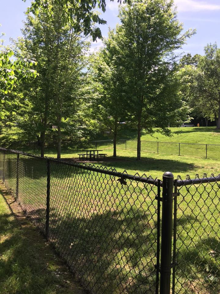 Willows on Weidman Image 19
