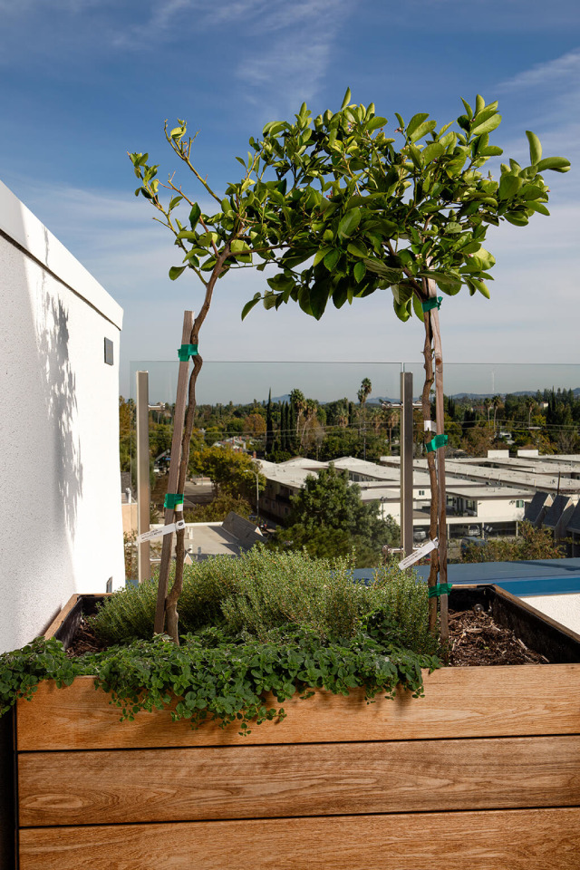 Chroma Apartment Homes Image 27