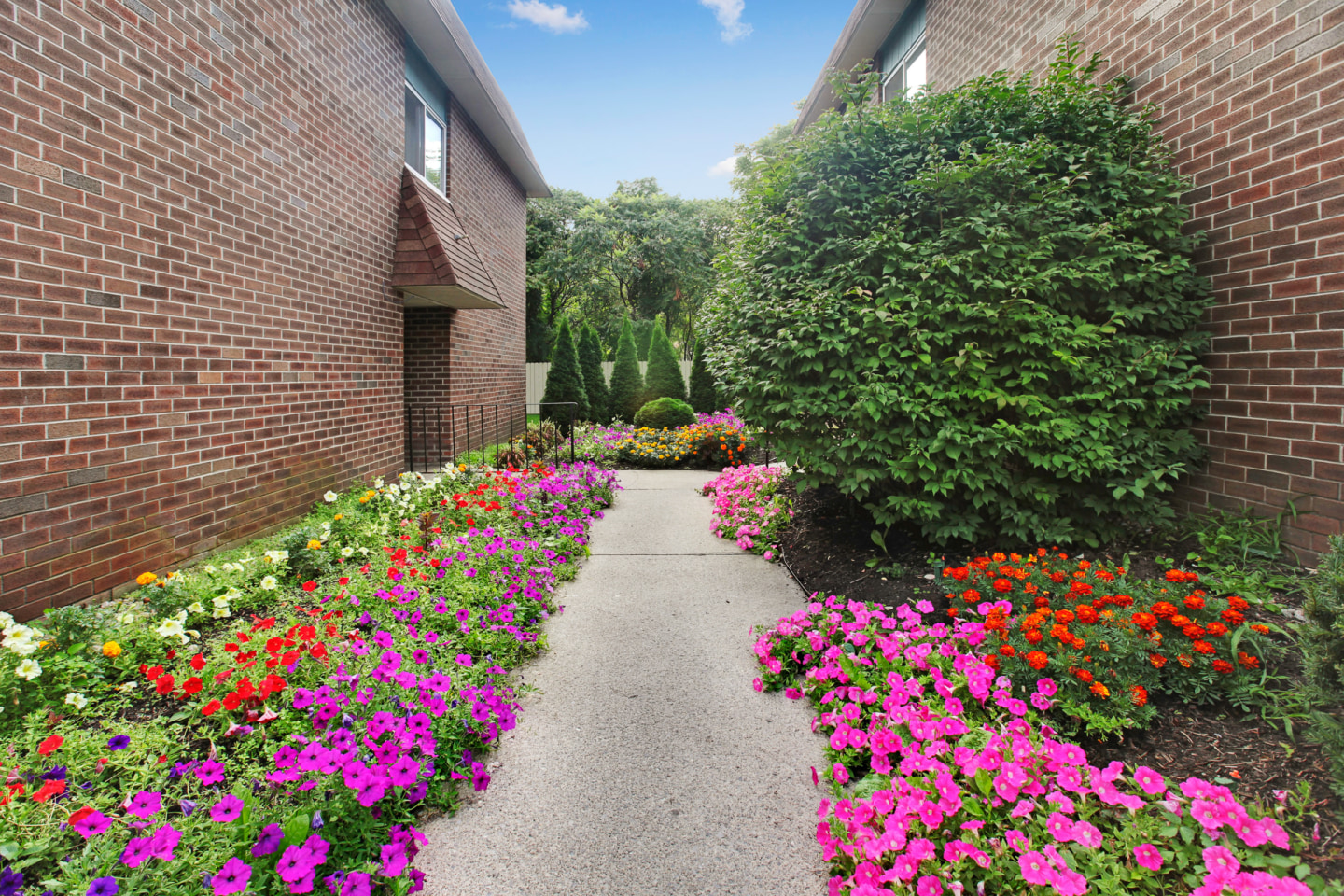 Sherwood Terrace Image 8