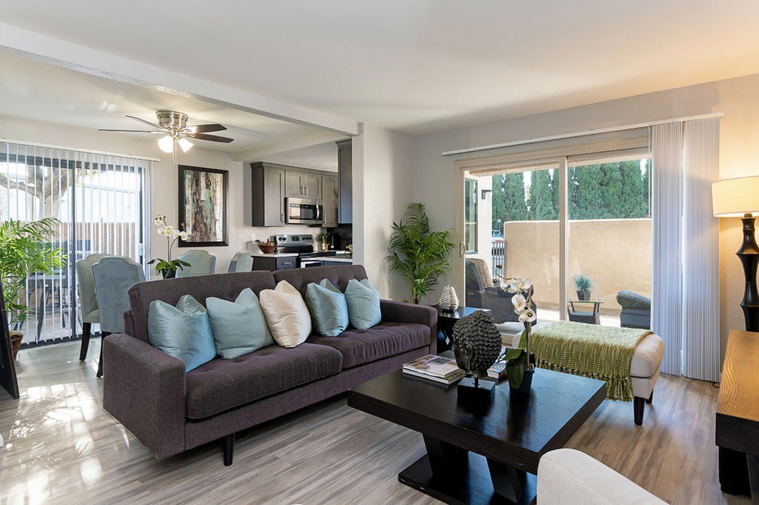 The Casas Image 2