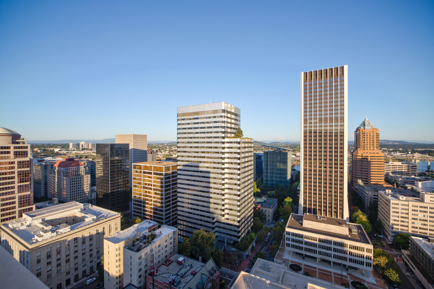 Ladd Image 55