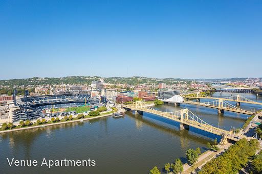 The Venue Apartments Image 10
