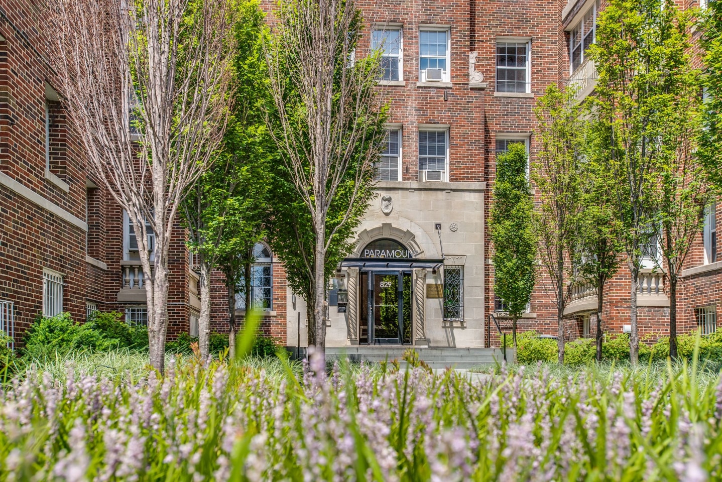 The Paramount Apartments Image 9