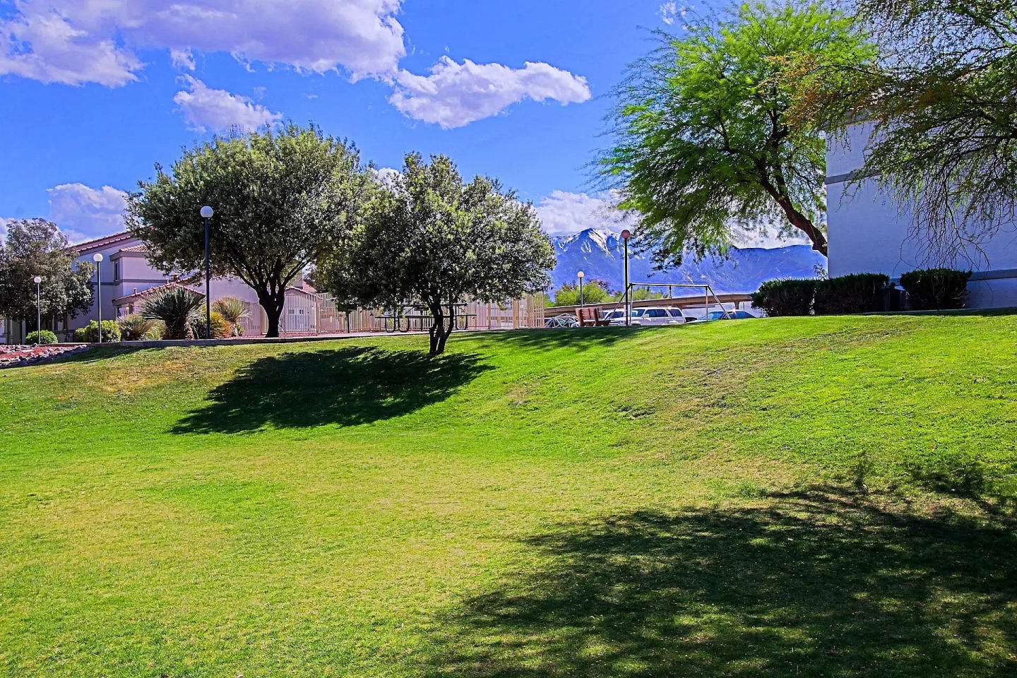 Madrean Vista Image 10