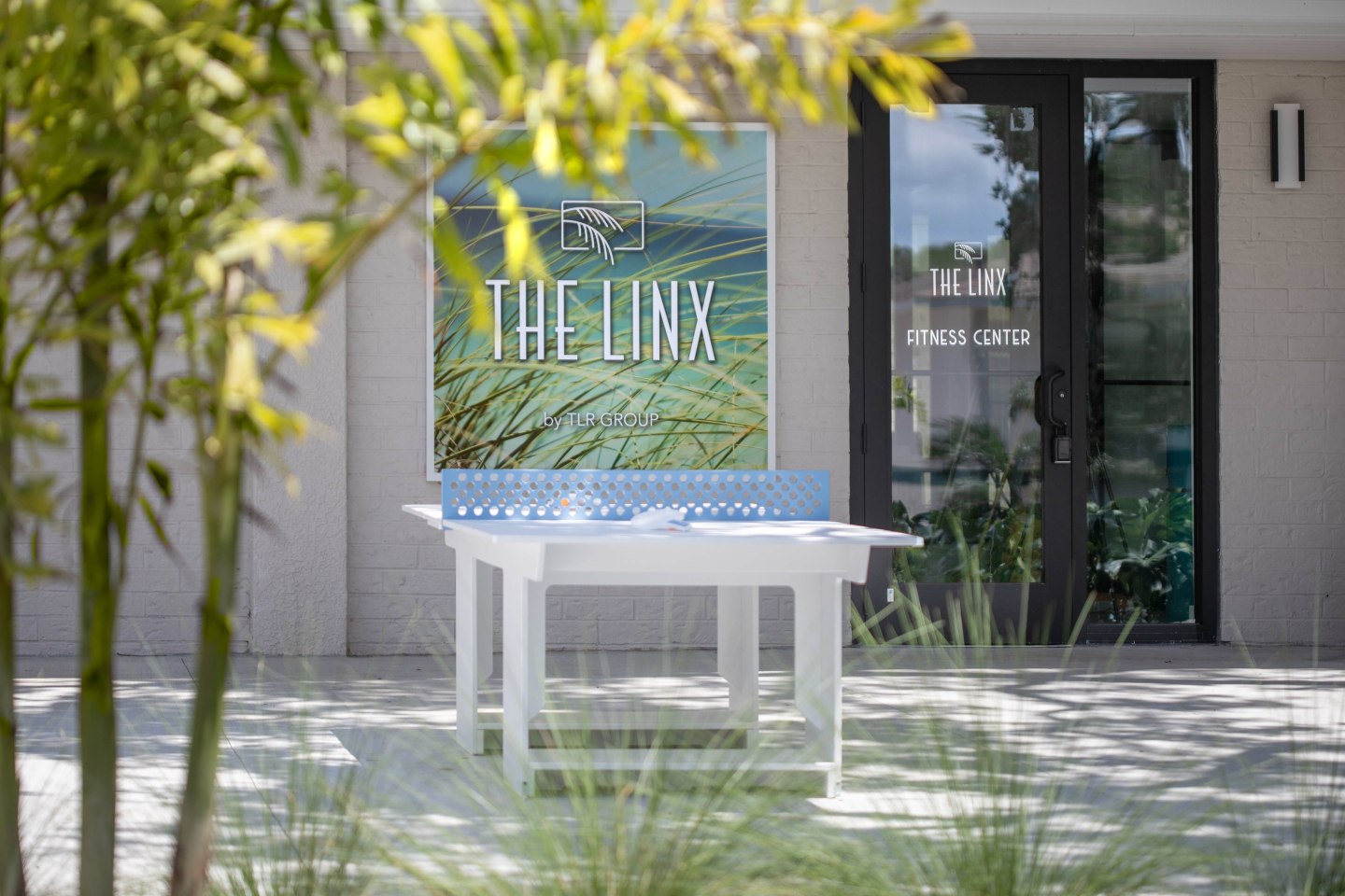 The Linx Image 24