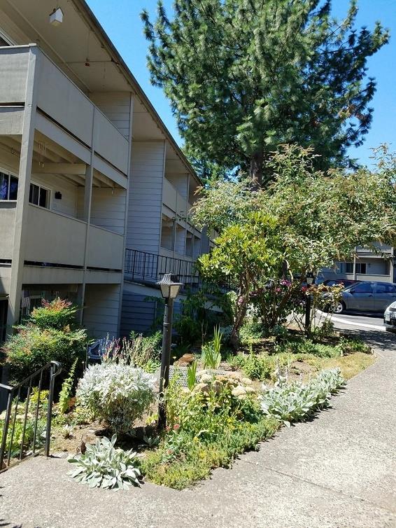 Rochelle Apartments Image 6