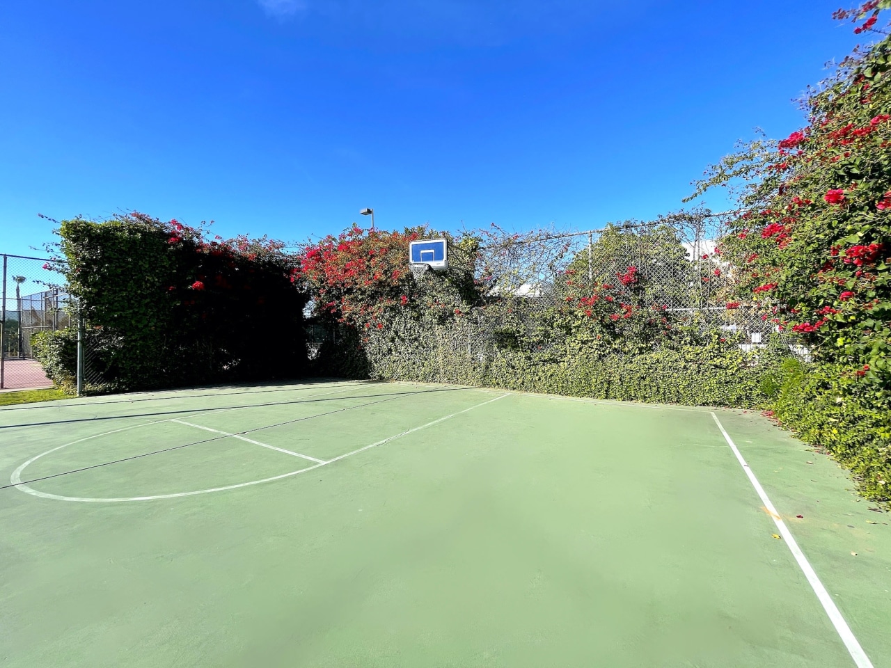 Paradise Garden Image 18