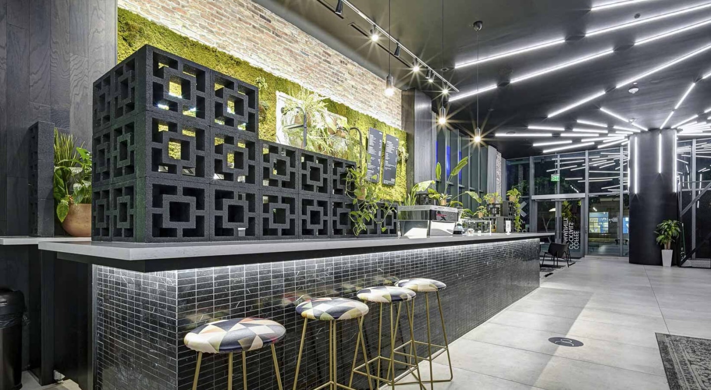 Alea Miami Image 13