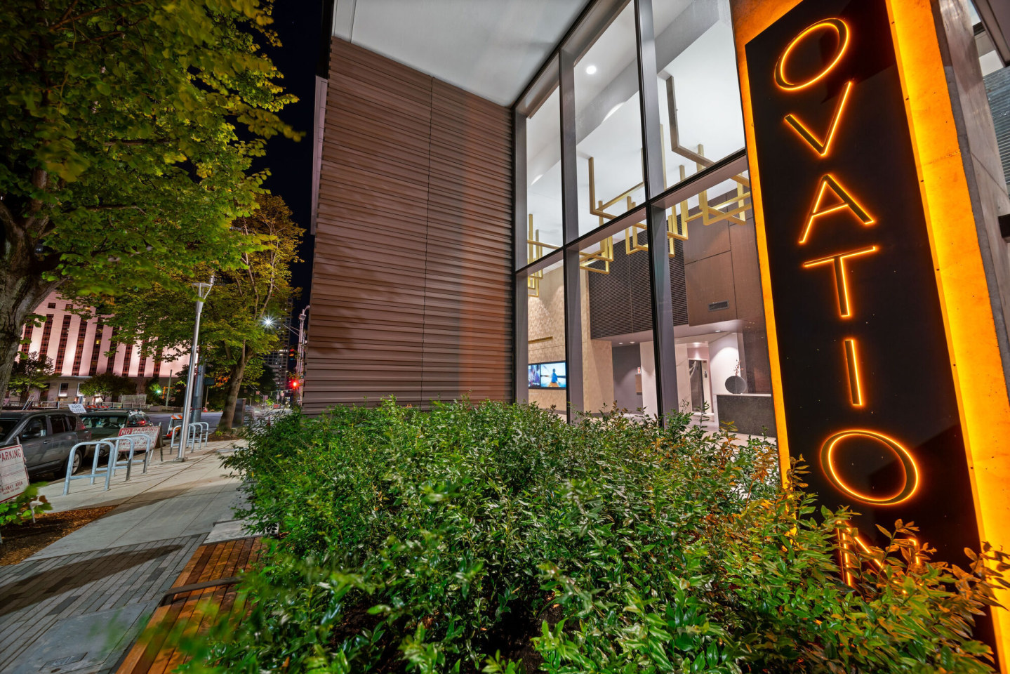 Ovation Image 39