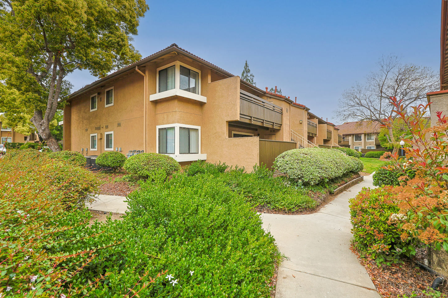 Citrus Place Image 9
