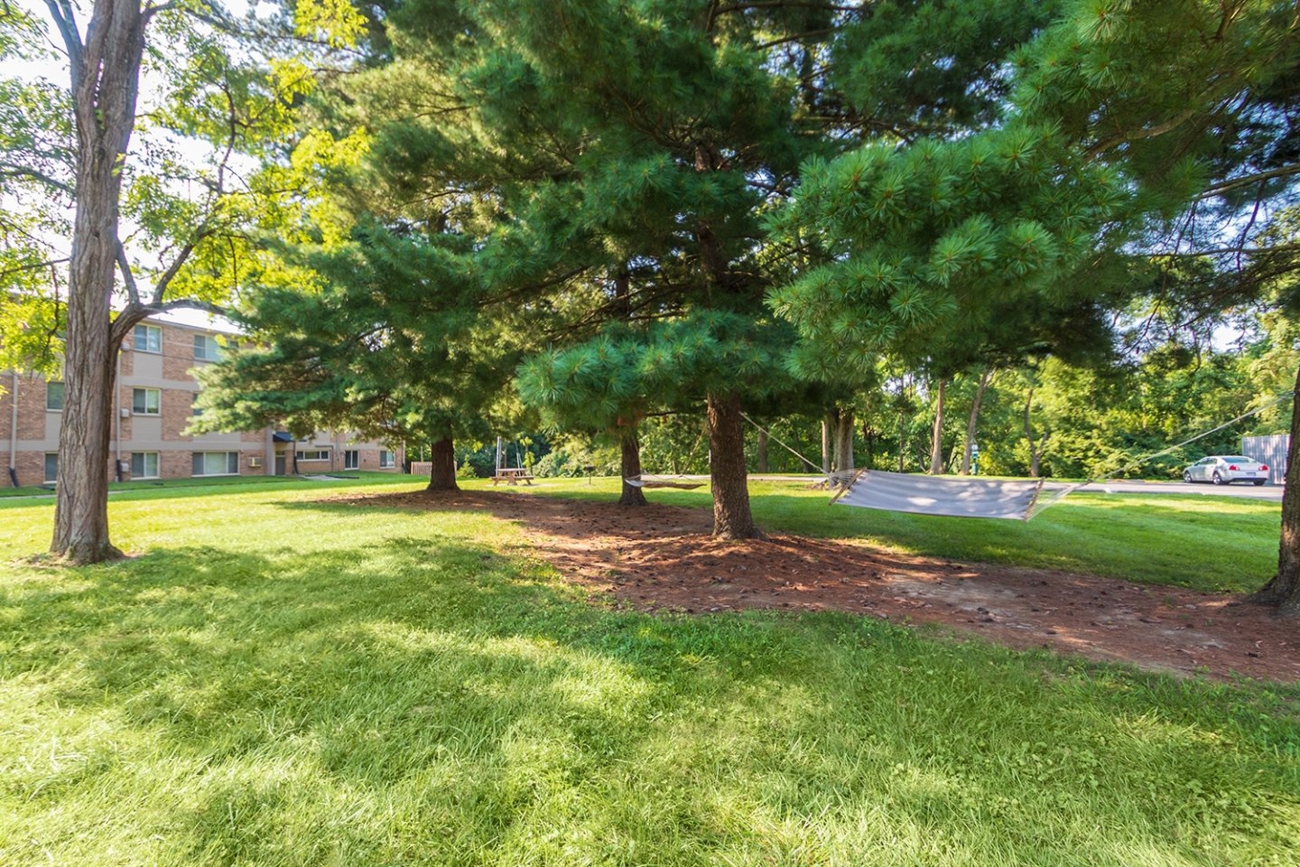 Red Bank Reserve Image 32