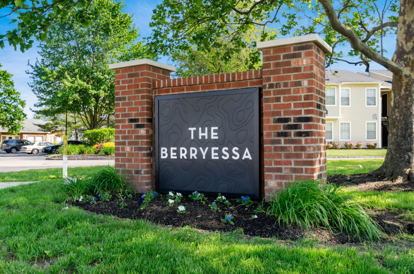 The Berryessa Image 43