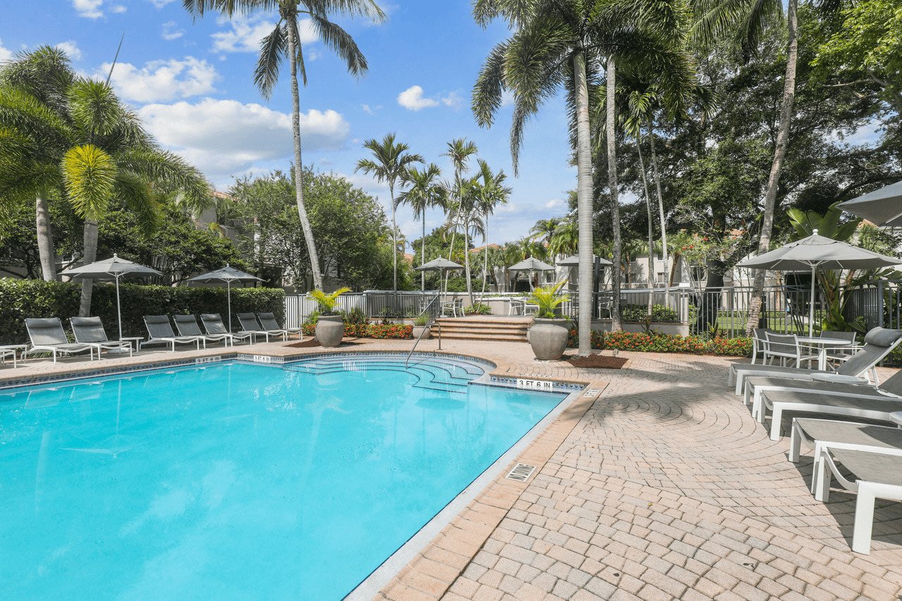 Coconut Palm Club Image 6