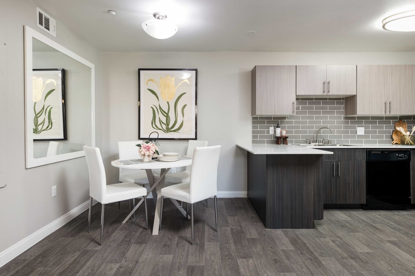 Amara Spring Valley Apartments Image 6