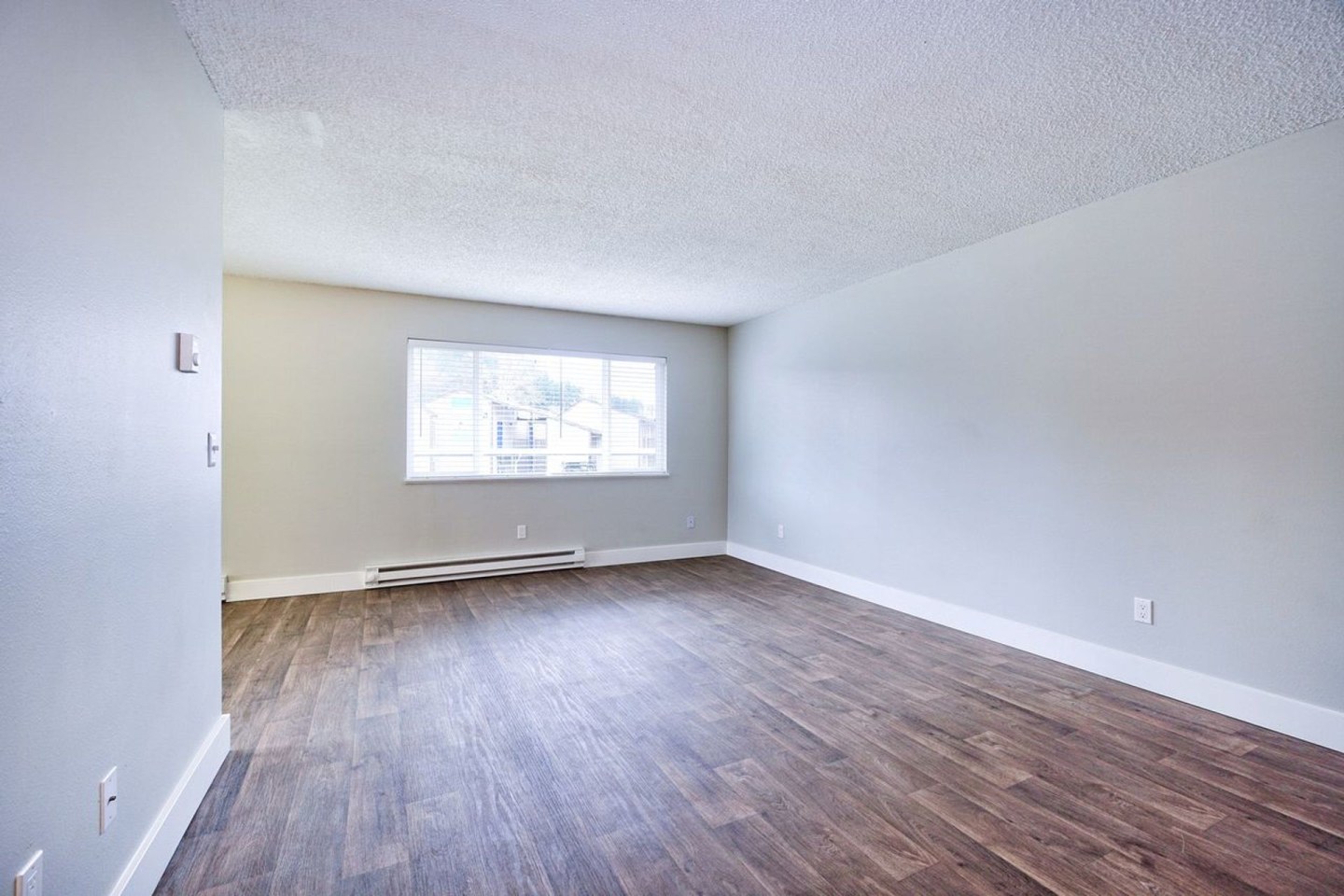 The Zimmer Image 9