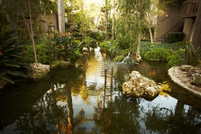 The Aspen South Coast Image 29