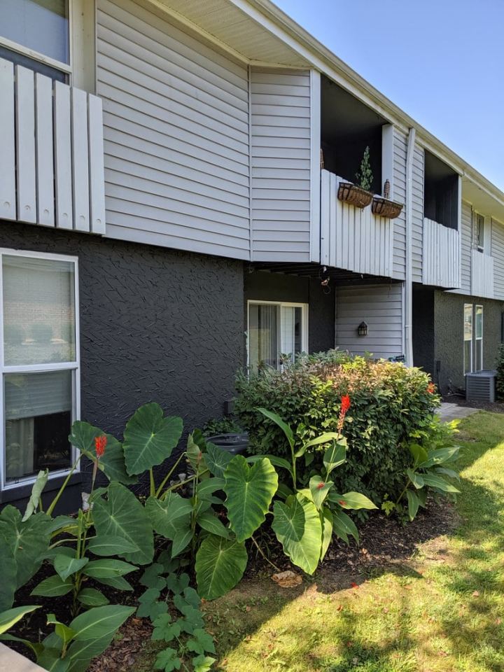 Somerford Square Apartments Image 15