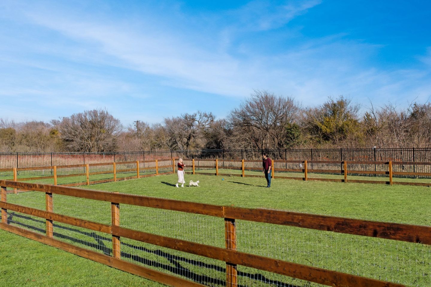 Canvas at Grand Prairie Image 27
