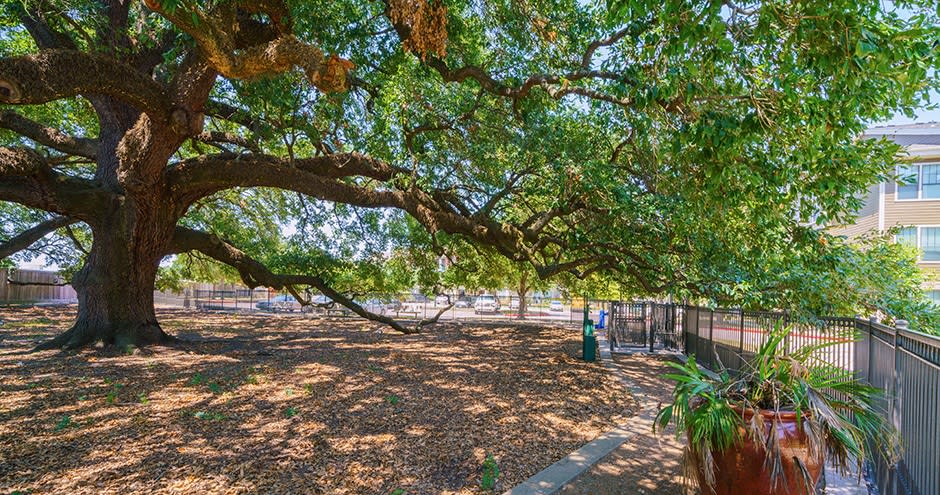Northgate Oaks Image 61