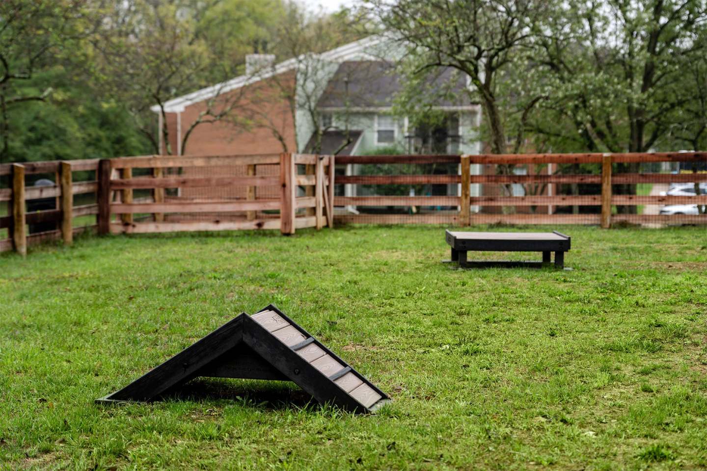 Steeplechase Image 49