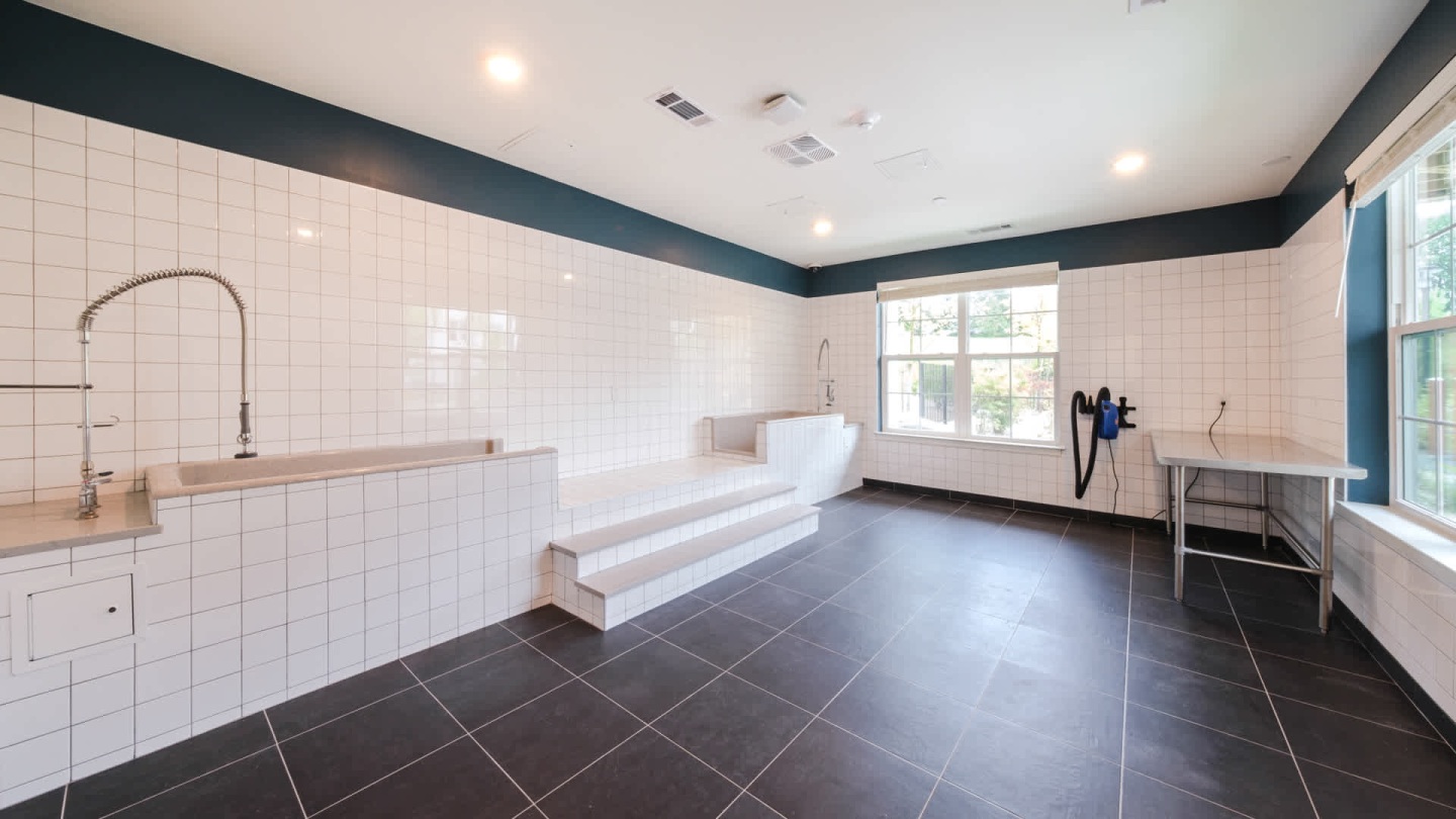 Alexan Harrison Apartments Image 121