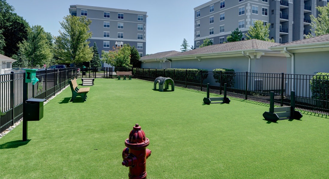 The MilTon Luxury Apartments Image 34