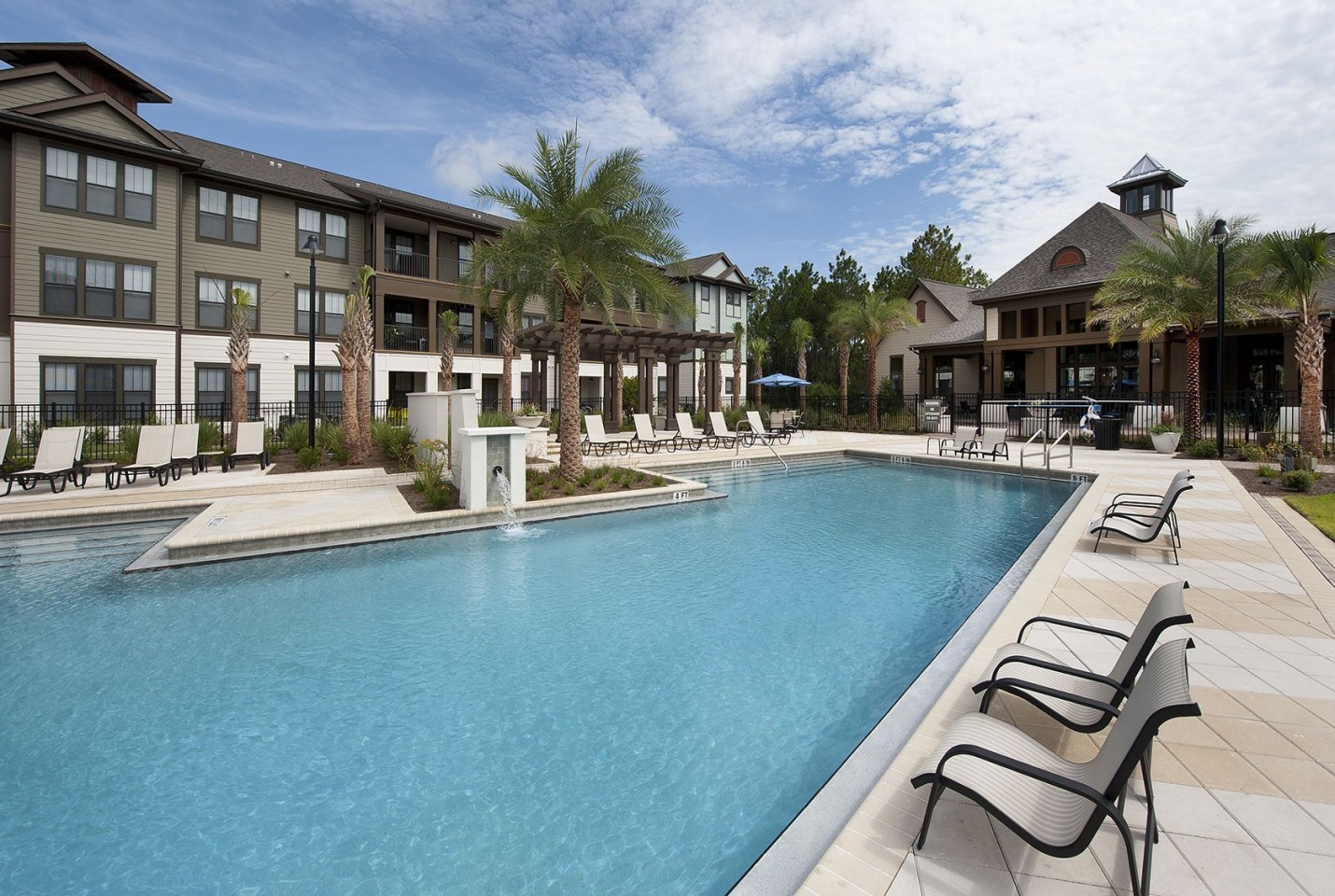 White Palm Image 15