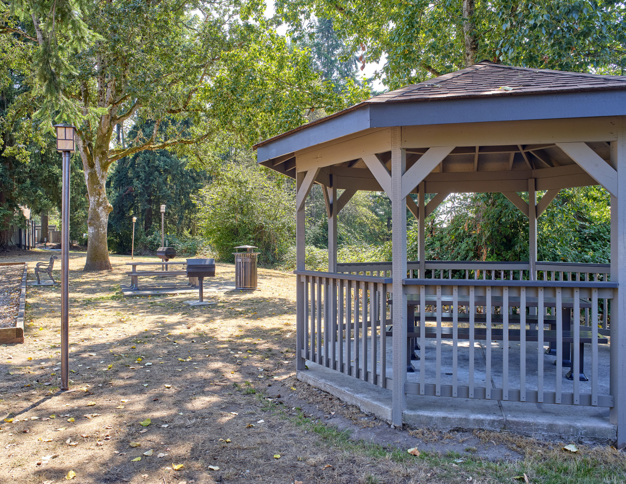 Forest Hill Village Image 30