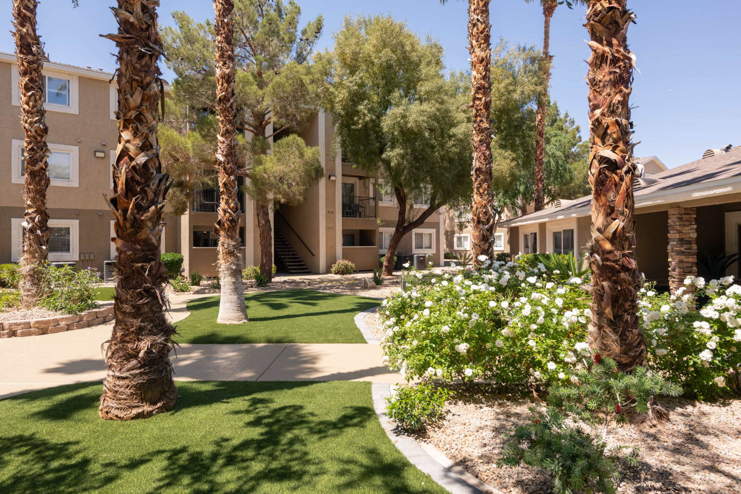 Amara Spring Valley Apartments Image 36