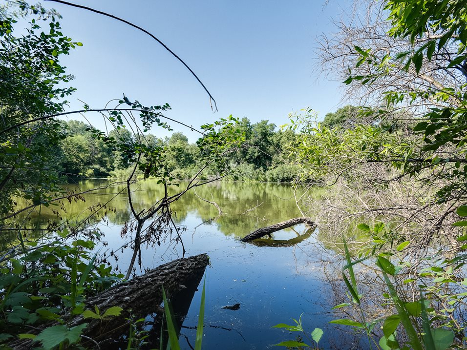 SpringBrook Image 35