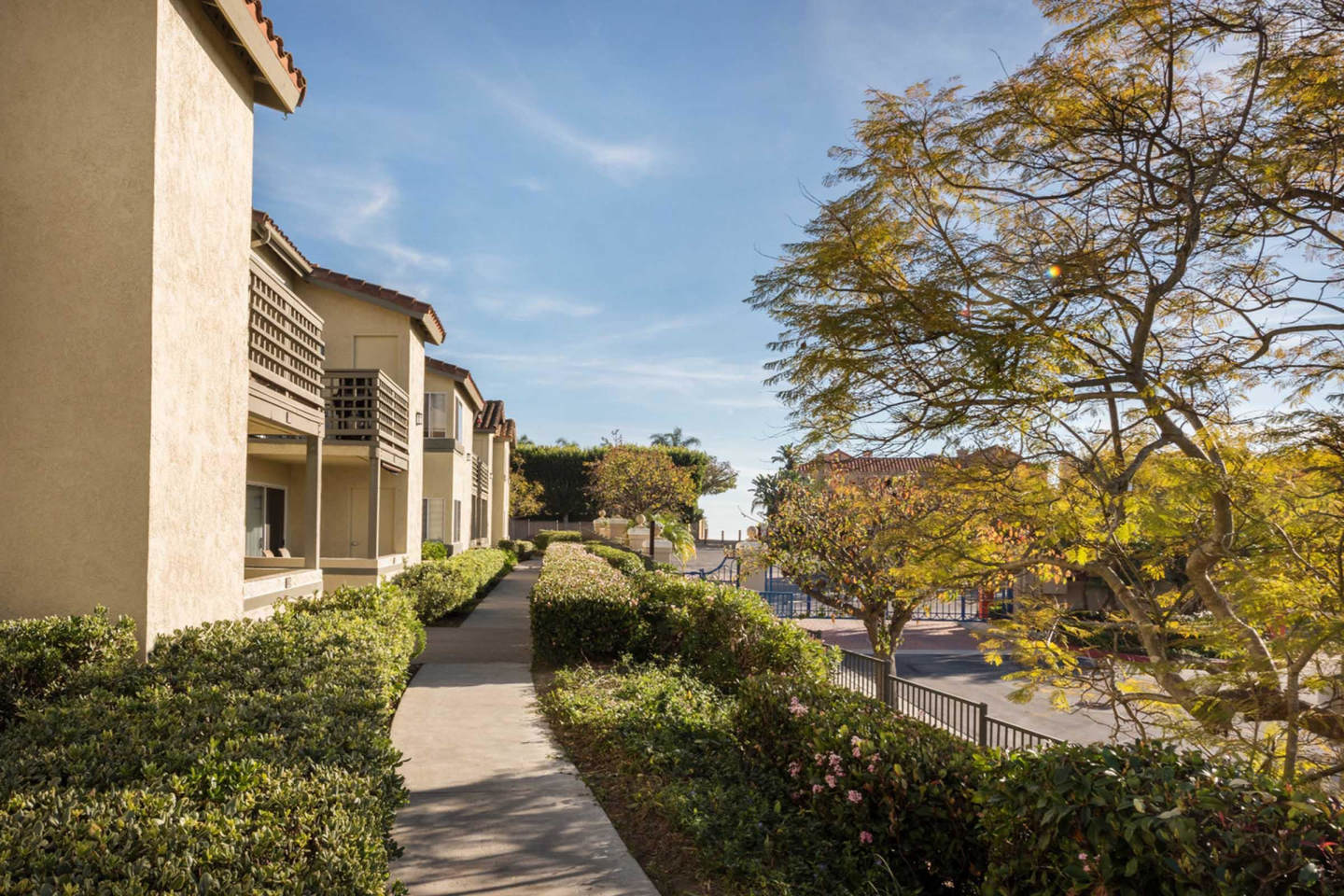 Elan Overlook Laguna Apartments Image 17