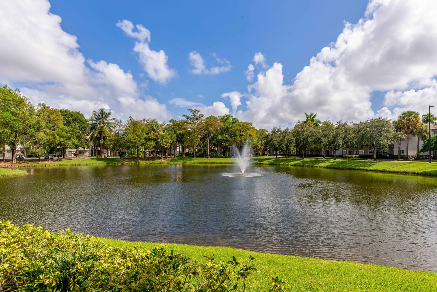 Palm Haven at Deer Creek Image 3