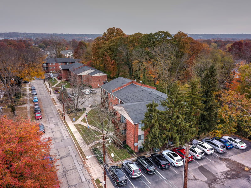 Tarpis Woods Image 6