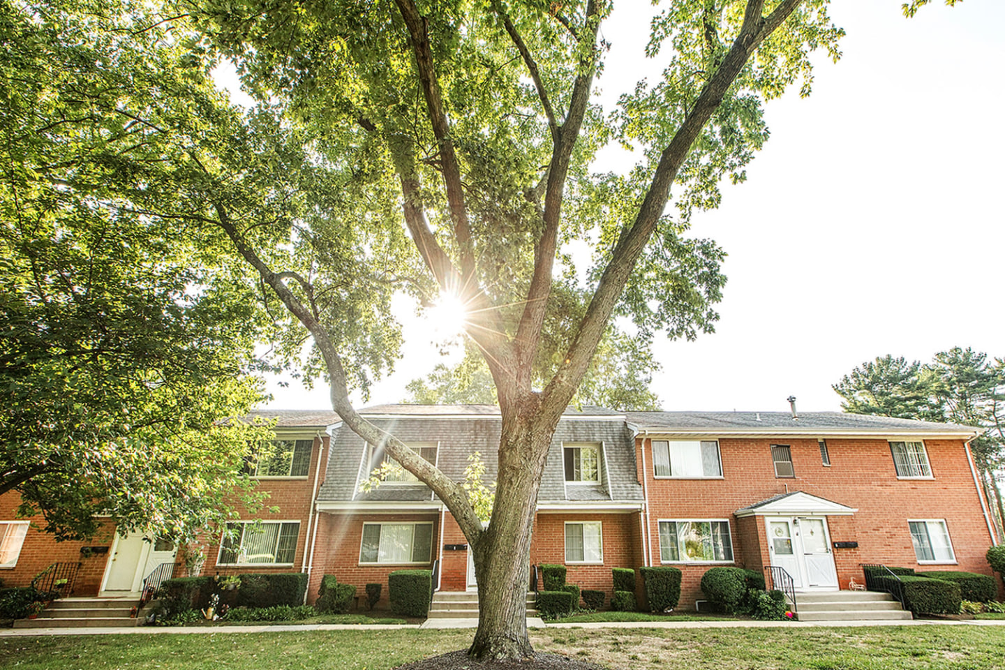 Homestead Gardens Apartments Image 2