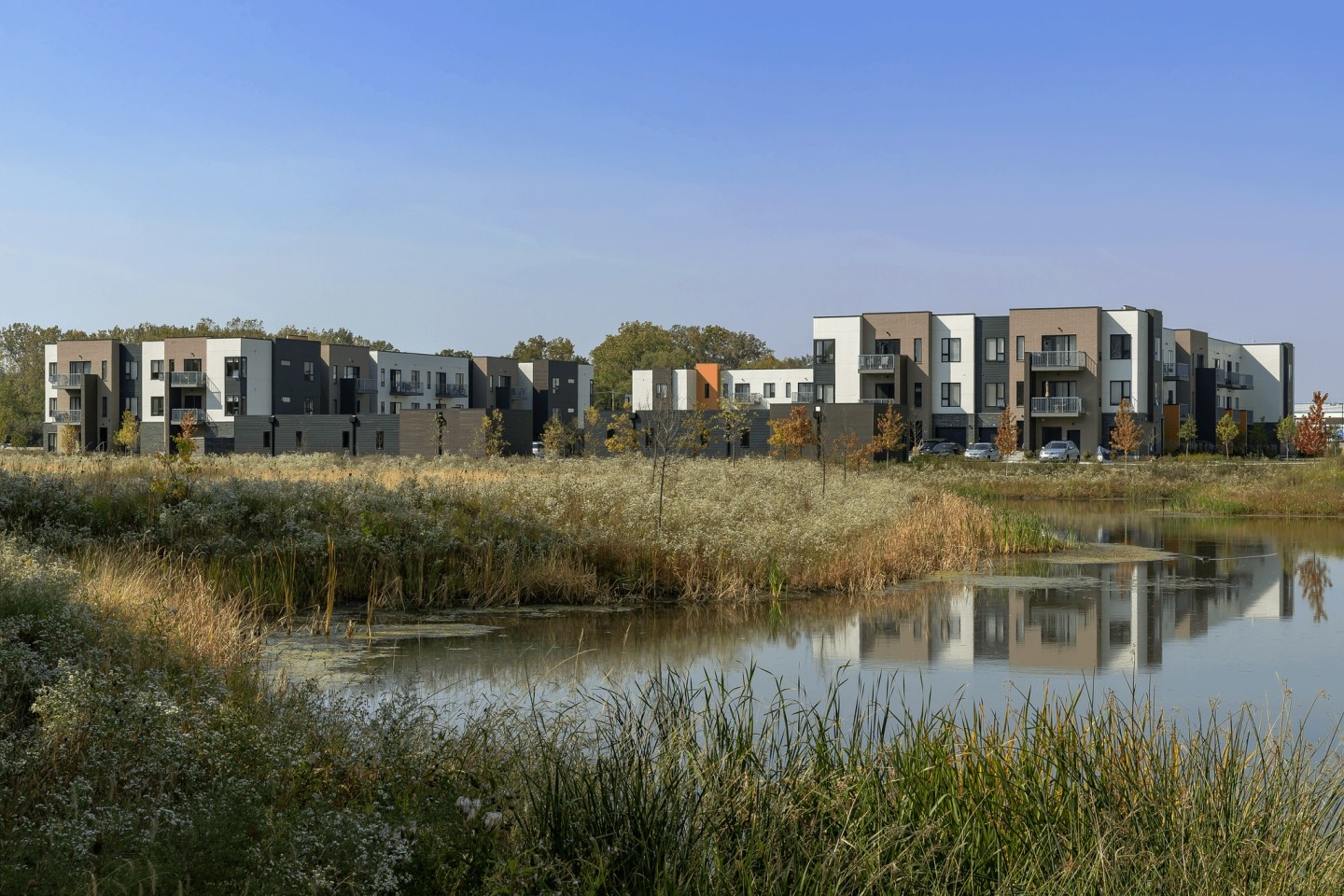 Everton Flats Image 19