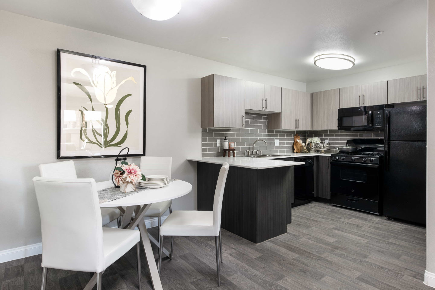 Amara Spring Valley Apartments Image 7