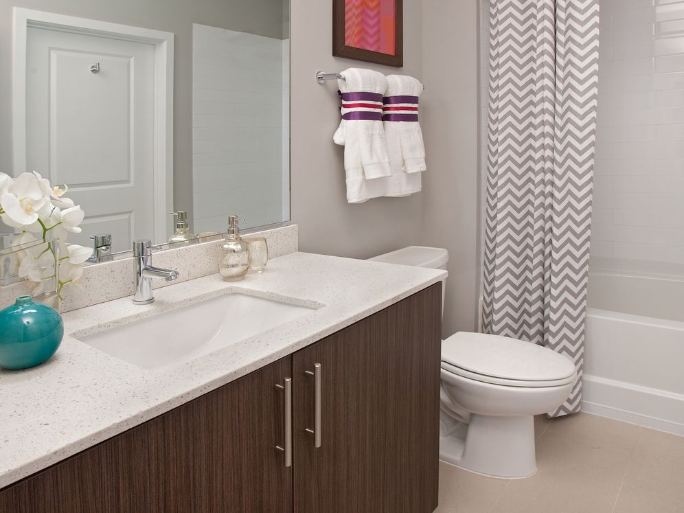Avalon Potomac Yard Image 11