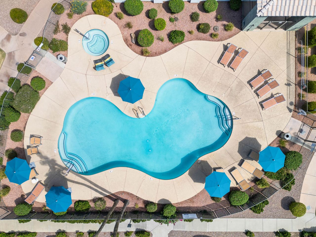 Palm Court Image 24