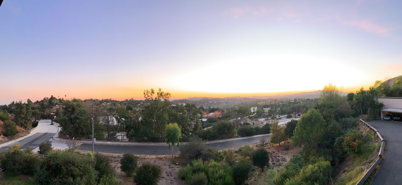 Annandale Terrace Image 23