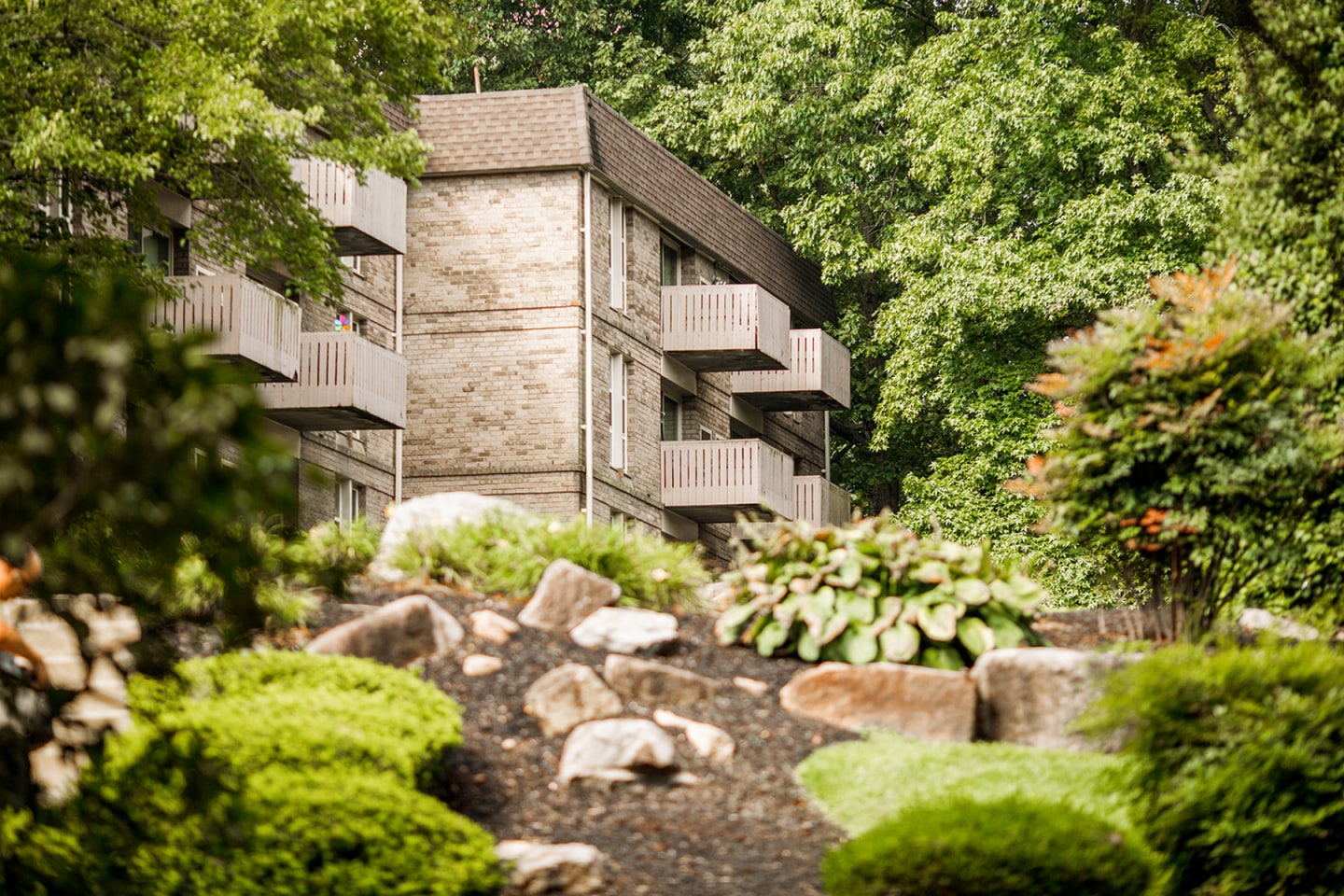 Top of the Hill Apartments Image 9