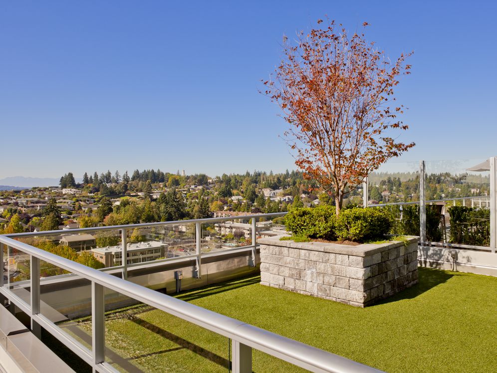 Avalon Towers Bellevue Image 41