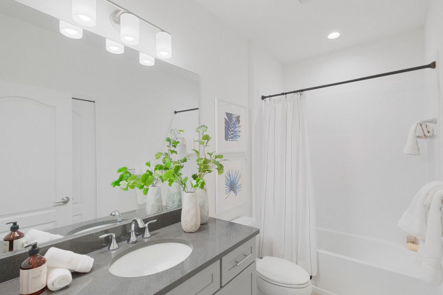 Fiore Townhomes - Built to Rent Housing Image 24