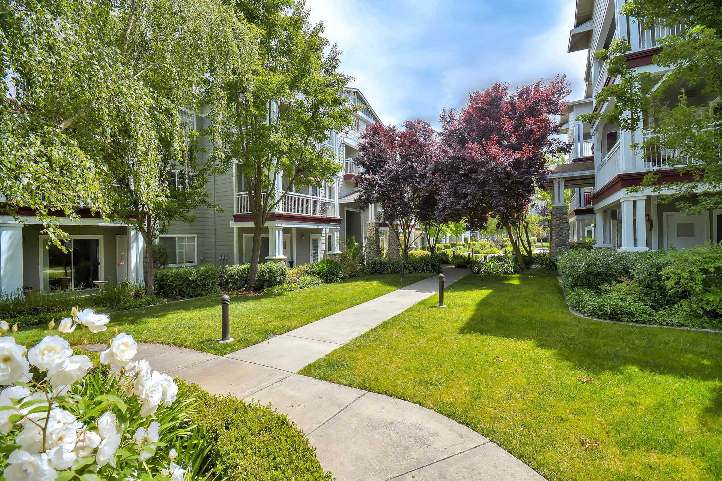 Oak View of Sonoma Hills Apartments Image 24