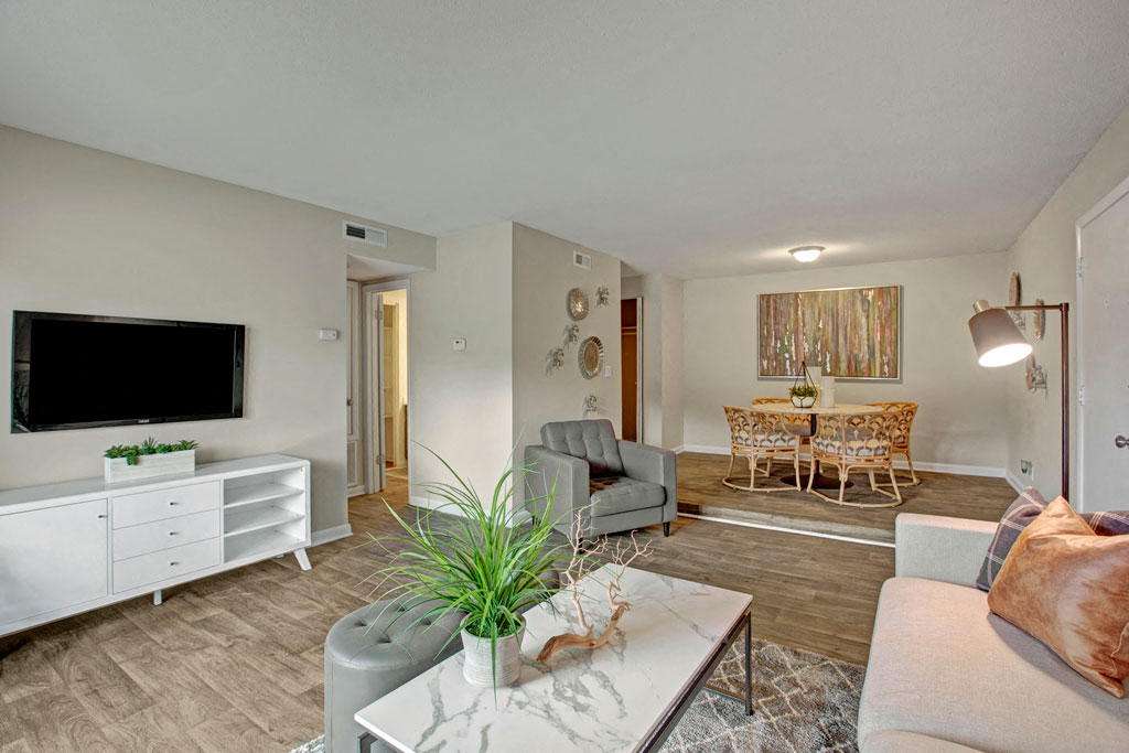 Lacota Image 4