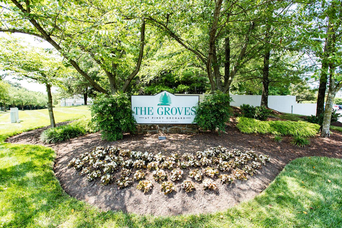 The Groves At Piney Orchard Image 14