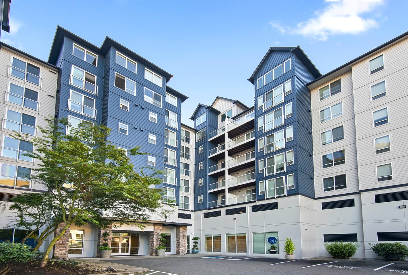 Apex Apartments Image 6