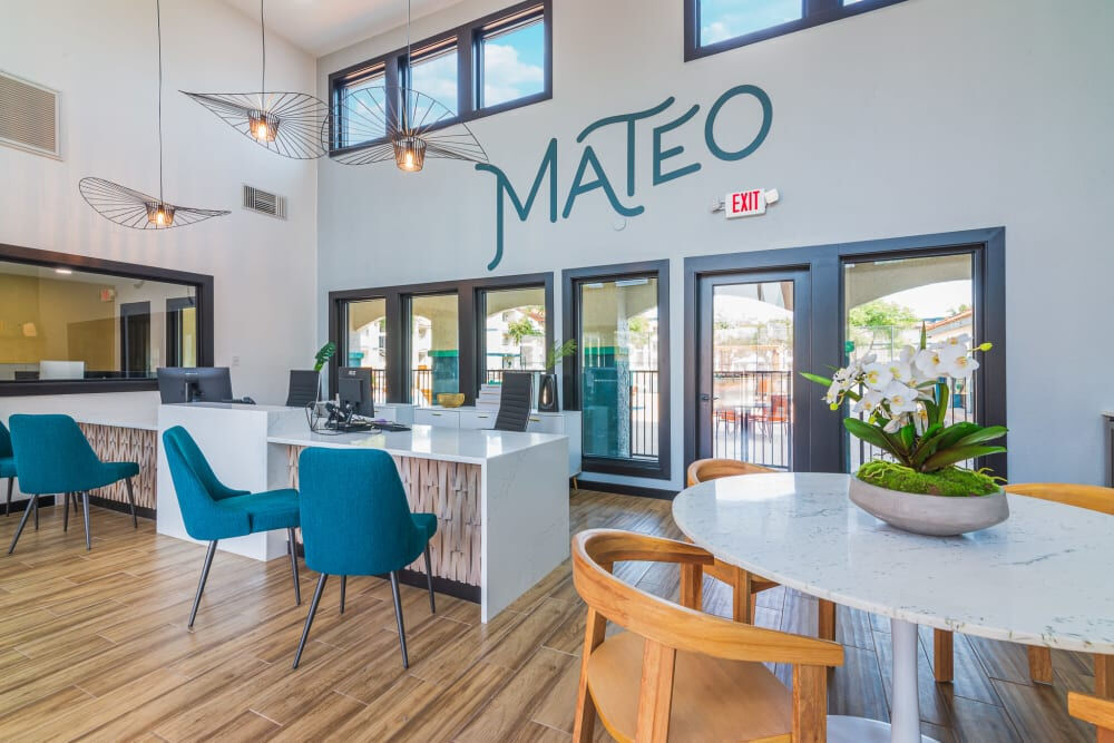 The Mateo Image 11