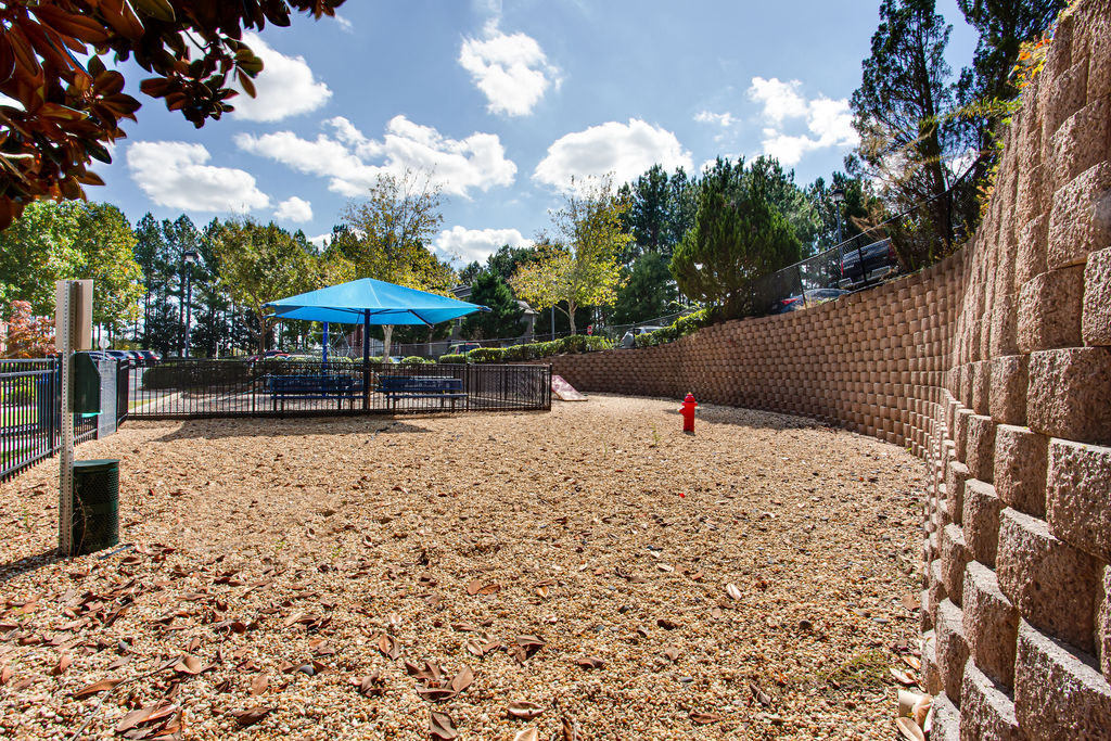 Indigo Apartments Image 3